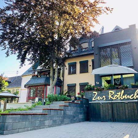 Appartamento Zur Rotbuche Zeltingen-Rachtig Esterno foto